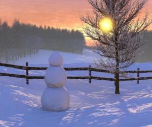 Rompicapo di Pupazzo di neve nel paesaggio