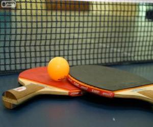 Rompicapo di Racchette e pallina da ping-pong