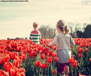 Rompicapo di Ragazze tra i tulipani