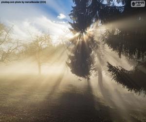 Rompicapo di Raggi di sole