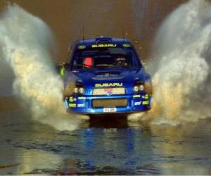 Rompicapo di Rally WRC - Passando acqua 