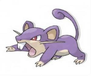 Rompicapo di Rattata - Pokémon tipo Normale, ratto d'attacco rapido