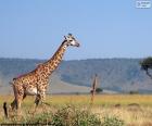 Giraffa in un paesaggio africano