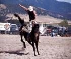 Rodeo - Cowboy nella prova del cavallo con sella, cavalcando un cavallo selvaggio