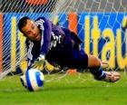 Portiere pronti a catturare la palla