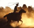 Cowboy che monta un cavallo con il lasso