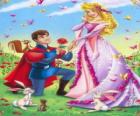 Il principe Philip in ginocchio davanti la principessa Aurora nella proposta di matrimonio
