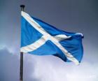 Bandiera della Scozia, nazione del Regno Unito