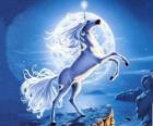 Unicorn - Giovane cavallo con un corno a spirale