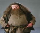 Rubeus Hagrid, un mezzo-gigante che è custode delle Chiavi e dei Luoghi di Hogwarts