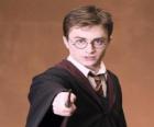 Harry Potter con la sua bacchetta magica