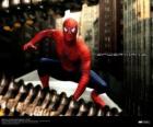 Spiderman, l'uomo ragno, accovacciato
