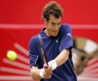 Andy Murray pronto per un colpo