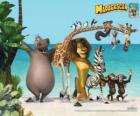 Gloria l'ippopotamo, Melman la giraffa, Alex il leone, Marty la zebra con gli altri protagonisti delle avventure
