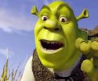 Volto di Shrek, l'orco felice e sorridente