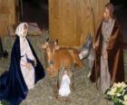 La Sacra Famiglia - San Giuseppe, la Madonna e il Bambino nella mangiatoia con il bue e il mulo