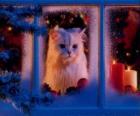 Gatto guardando fuori dalla finestra a Natale