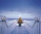 Piccolo Albero di Natale decorato fronte mare