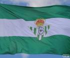 Bandiera Real Betis