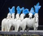 Cavalli di agire in un circo
