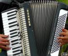 Una fisarmonica