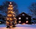 Casa con un grande albero di Natale decorato in giardino
