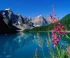 Un lago con vegetazione e l'ufficio di alta montagna