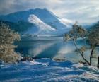 Un lago con il paesaggio innevato