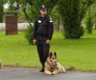 Funzionario di polizia con il suo cane della polizia