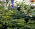 Mercatino di alberi di Natale