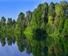 Un fiume con il riflesso degli alberi nell'acqua