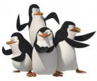 I pinguini, Skipper, Kowalski, Rico e private.
