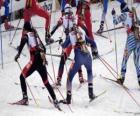 Il biathlon in uno sport invernale che combina cross-sci paese con tiro al bersaglio.