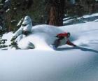 Snowboarder decrescente in neve fresca