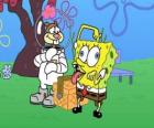 SpongeBob con Sandy
