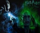 Lord Voldemort è il principale nemico di Harry Potter