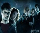Harry Potter con i suoi amici