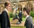 Harry Potter e il suo amico Cedric Diggory