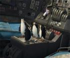 Pinguini riparato un vecchio aereo caduto