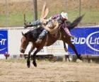 Cowboy a cavallo allevamento in un rodeo