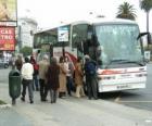 Bus urbano nella fermata dell'autobus