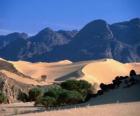 Riserve Naturali della Air e Tenere, Niger