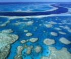 La Grande Barriera Corallina, le barriere coralline in tutto il mondo più grande. Australia.