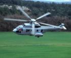 Cougar grande elicottero EC725