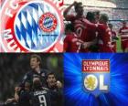 Coppa dei Campioni d’Europa - UEFA Champions League semifinale 2009-10, FC Bayern München - Olympique Lyonnais