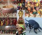 Cerimonia di apertura dei Mondiali del 2010