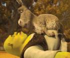Shrek e Ciuchino, fissando