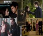 Il Twilight Saga: New Moon