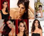 Penelope Cruz è la prima attrice spagnola ad ottenere un Oscar grazie al film Vicky Cristina Barcelona diretto da Woody Allen.