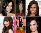 Demi Lovato è un'attrice e cantante del rock americano. Conosciuto per la riproduzione di Mitchie Torres nel Disney Channel Original Movie, Camp Rock
